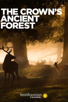The Crown's Ancient Forest (2021) poster