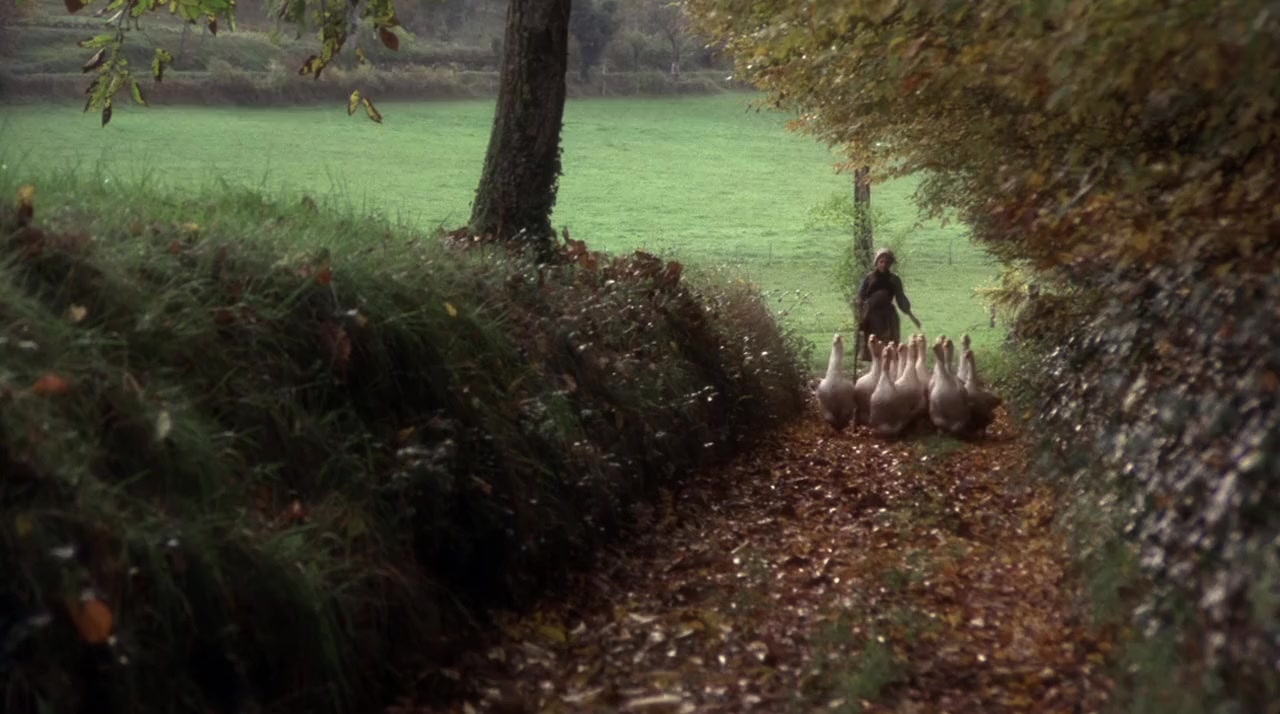 The Duellists screenshot 1