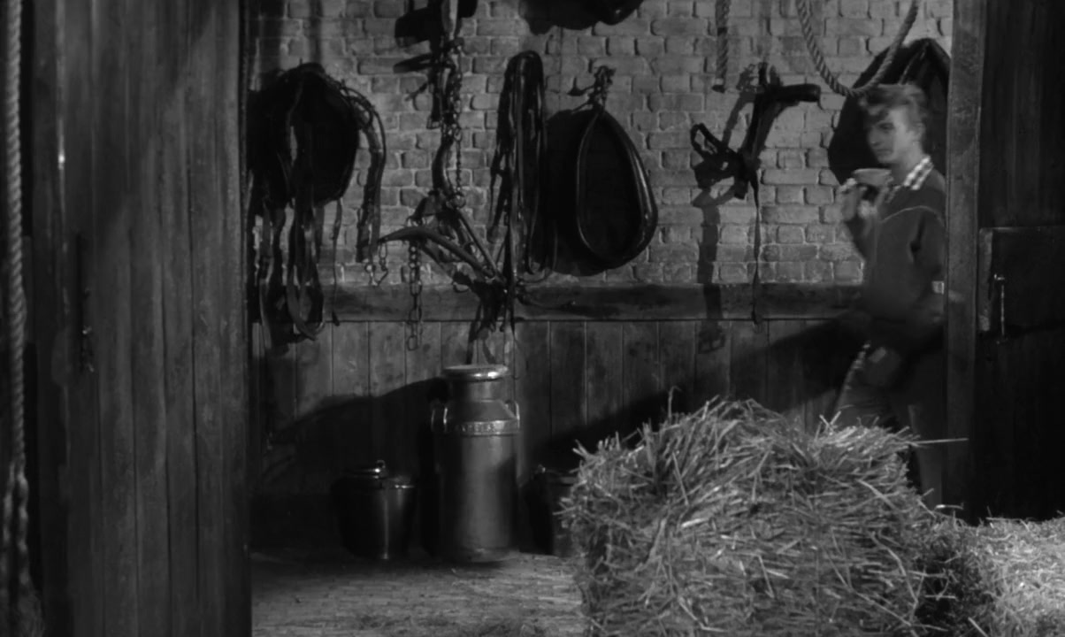 The Duke Wore Jeans screenshot 3