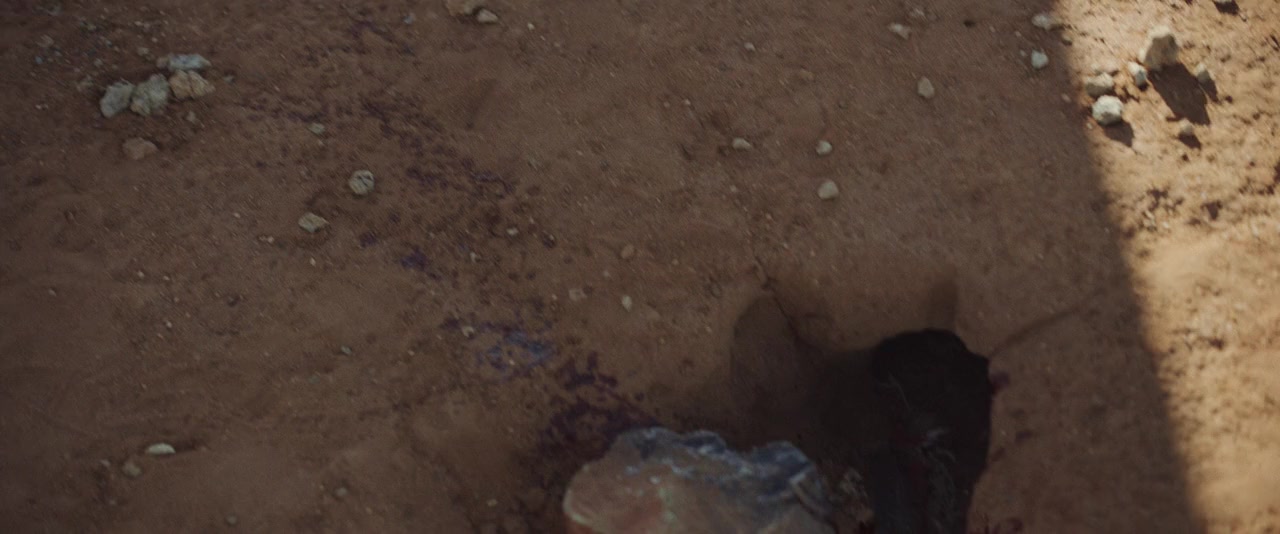 The Dustwalker screenshot 3