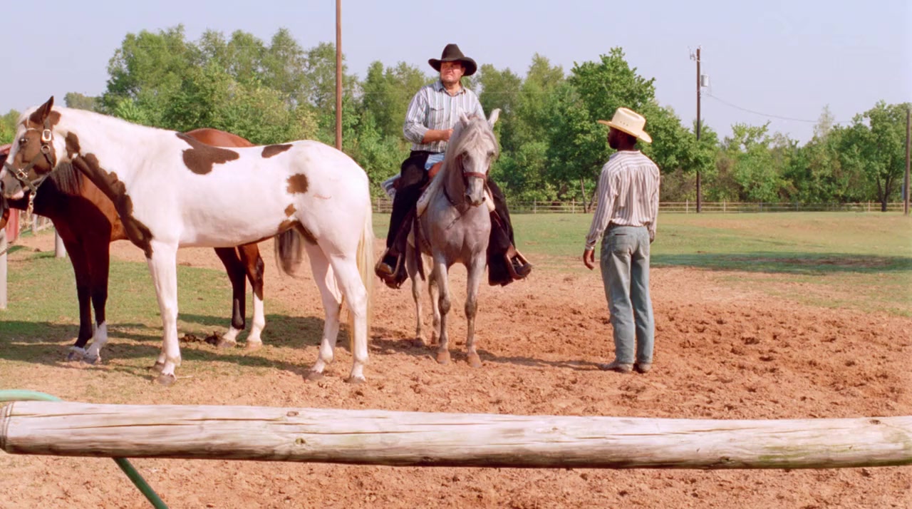 The Dallas Connection screenshot 3