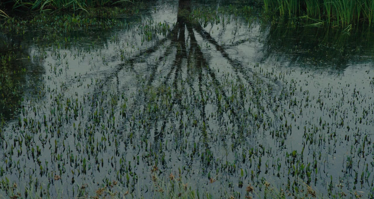 The Danish Girl screenshot 1
