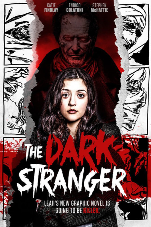 The Dark Stranger (2015) poster