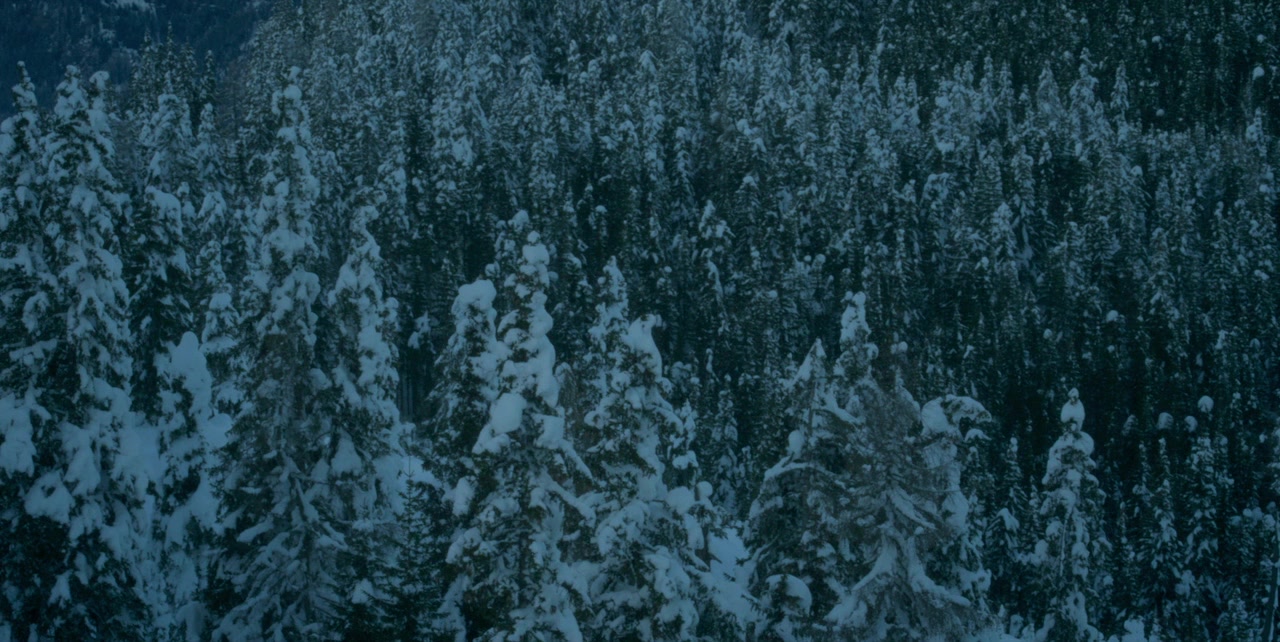 The Darker the Lake screenshot 1