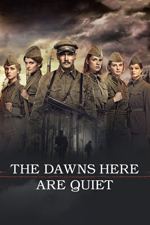 A zori zdes tikhie... (2015) poster