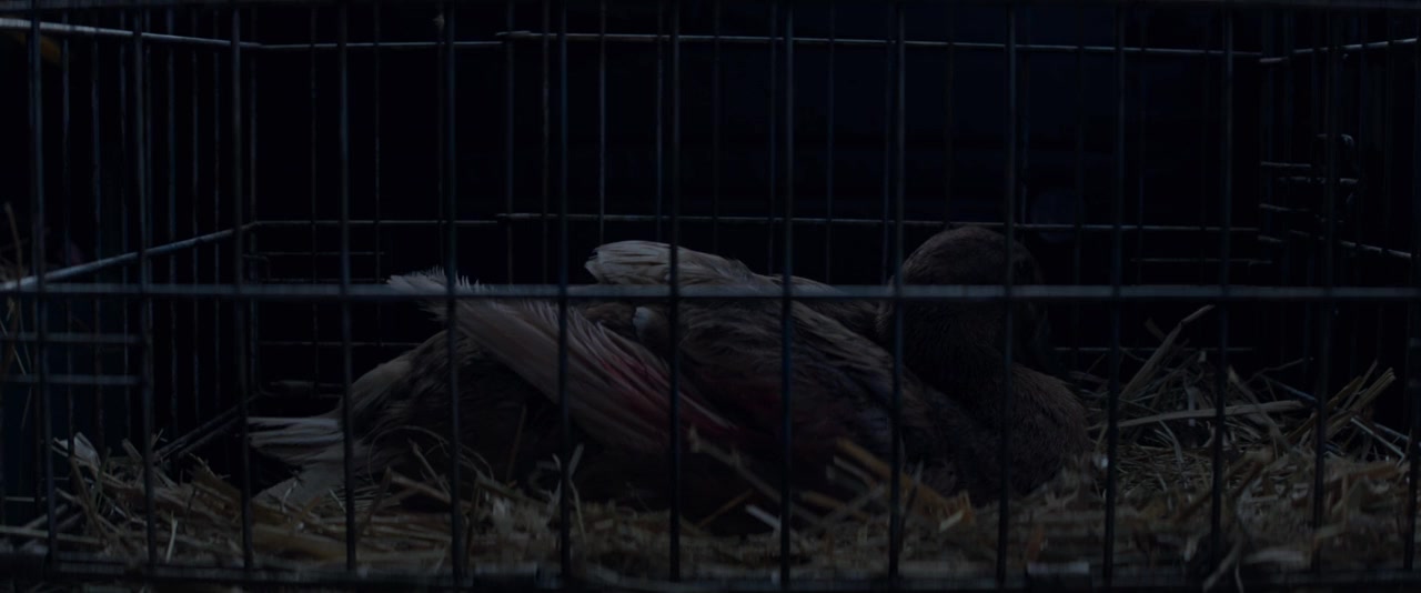 The Daughter screenshot 3