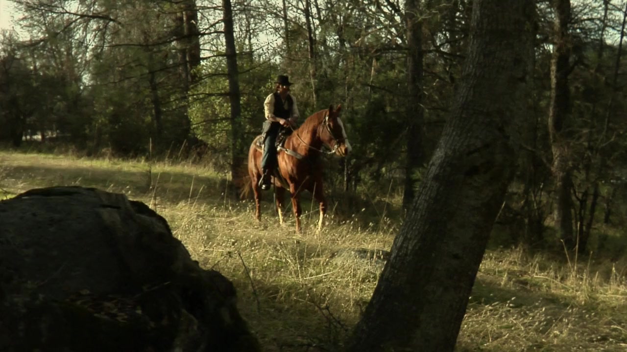 The Dead and the Damned screenshot 1