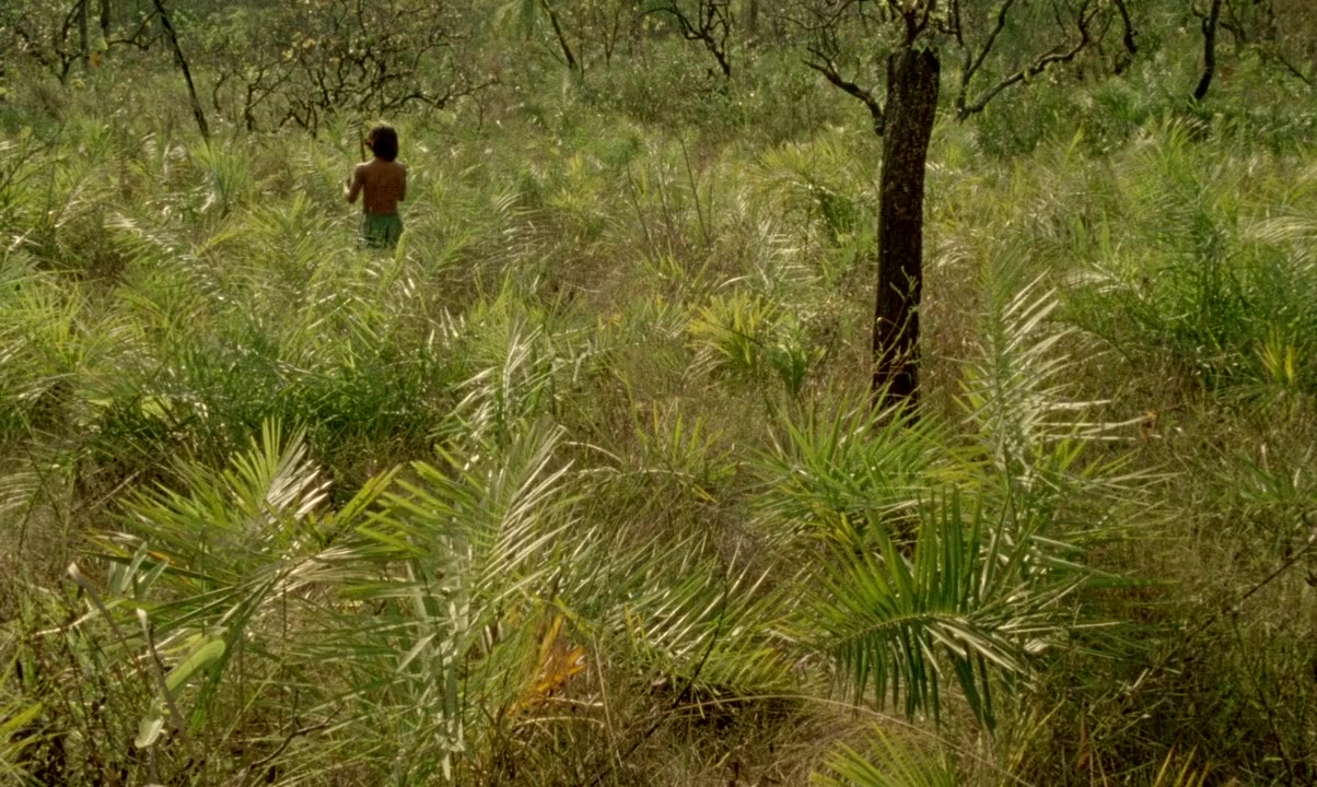 Chuva é Cantoria na Aldeia dos Mortos screenshot 1