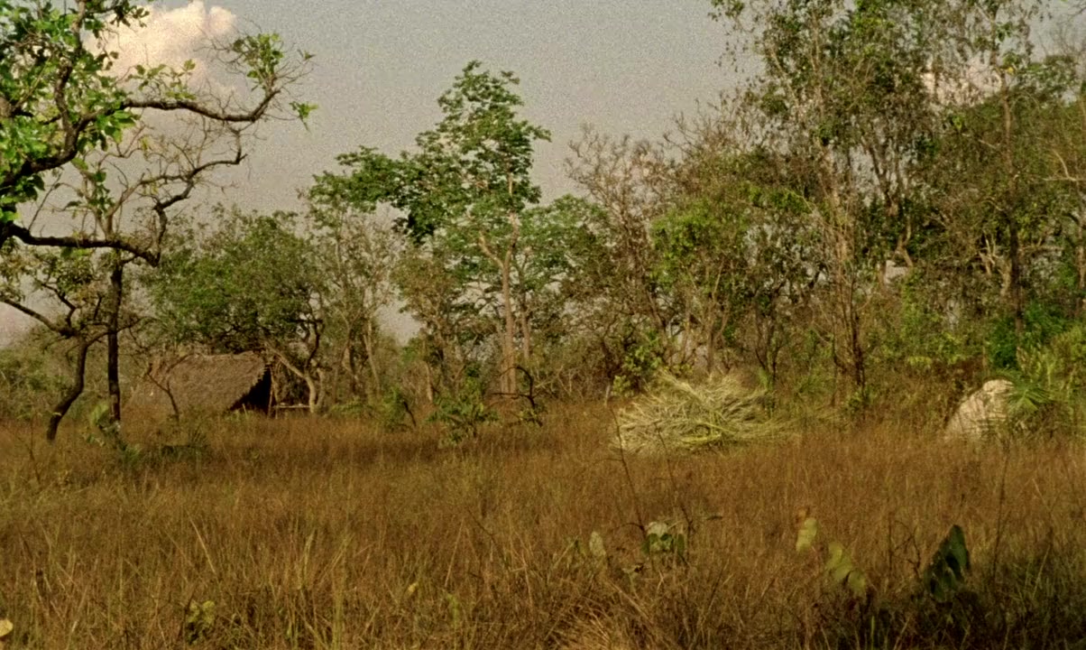 Chuva é Cantoria na Aldeia dos Mortos screenshot 2