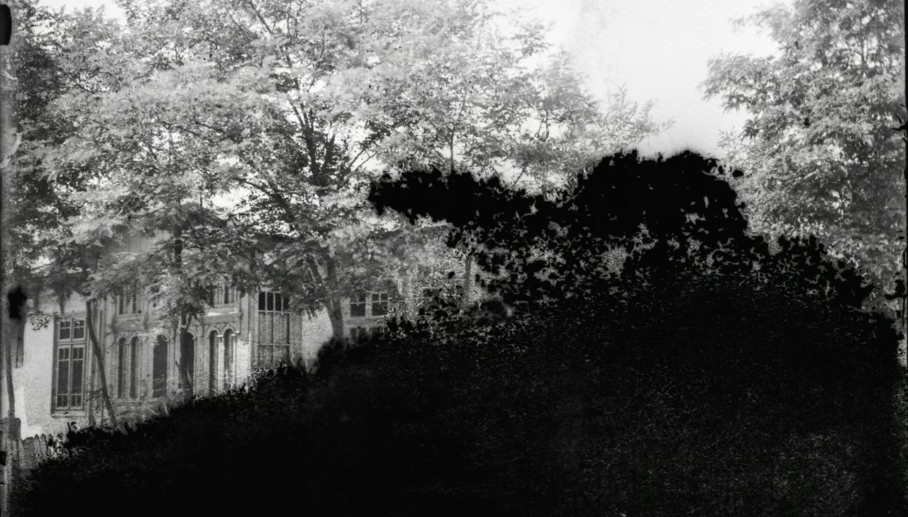 Tara moarta screenshot 1