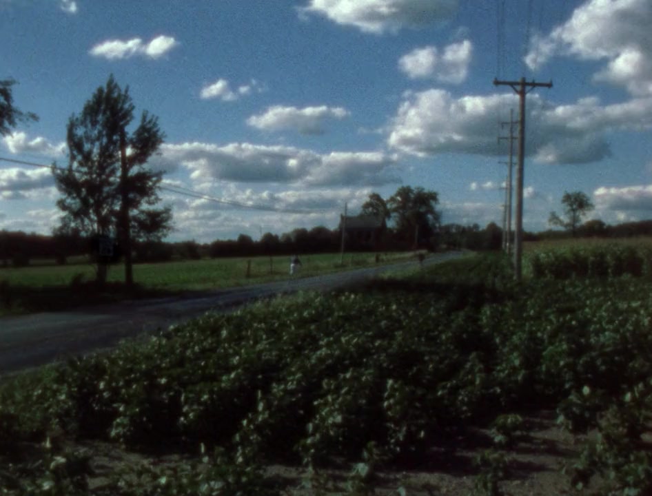 The Dead Next Door screenshot 3