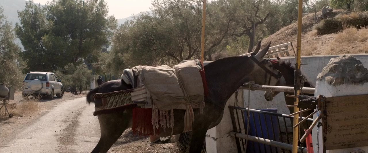 The Death of Antonio Sanchez Lomas screenshot 1
