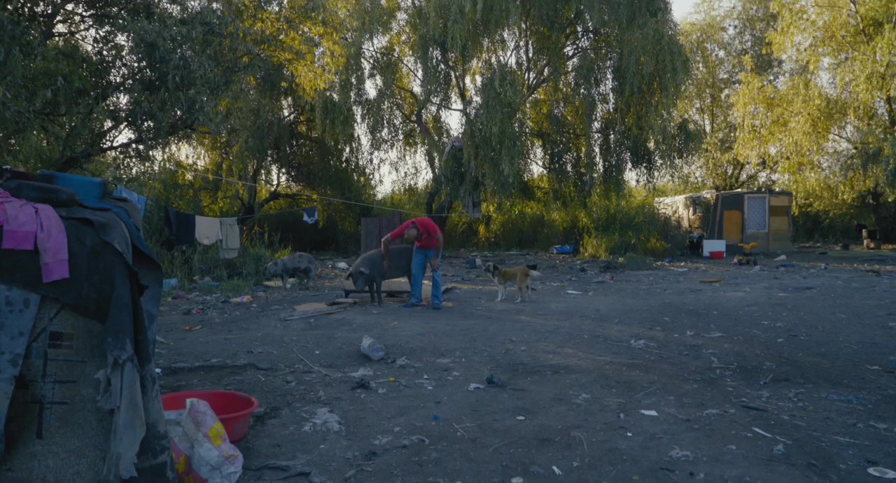 The Delta of Bucharest screenshot 3