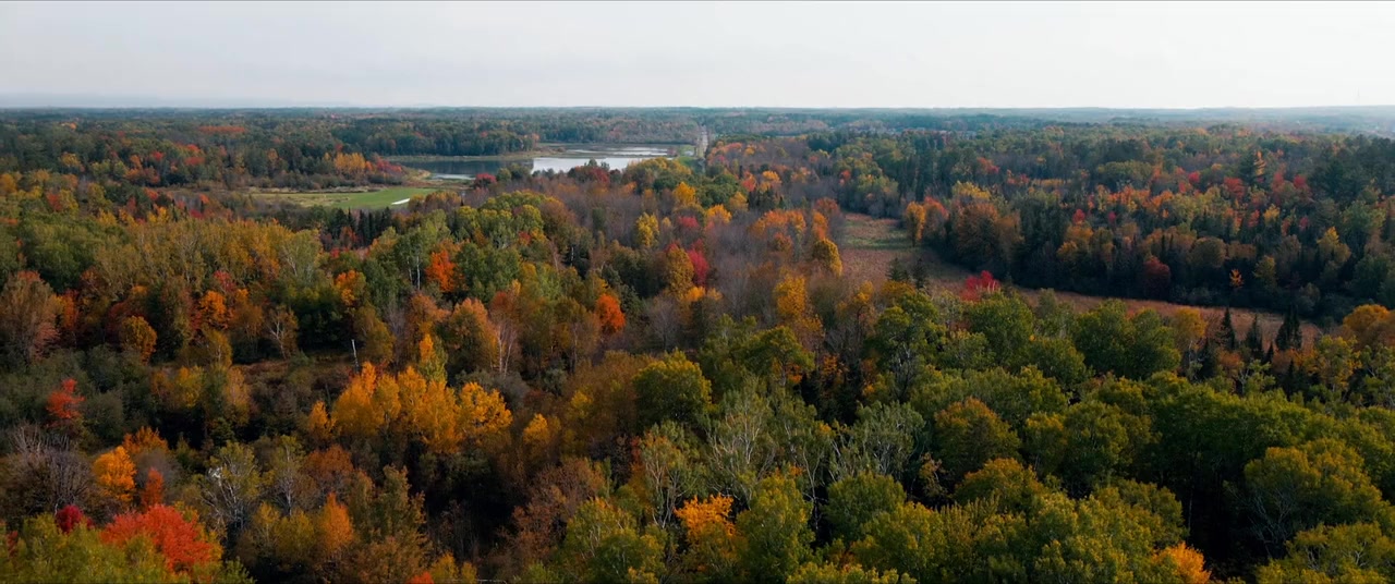 Lakewood screenshot 1