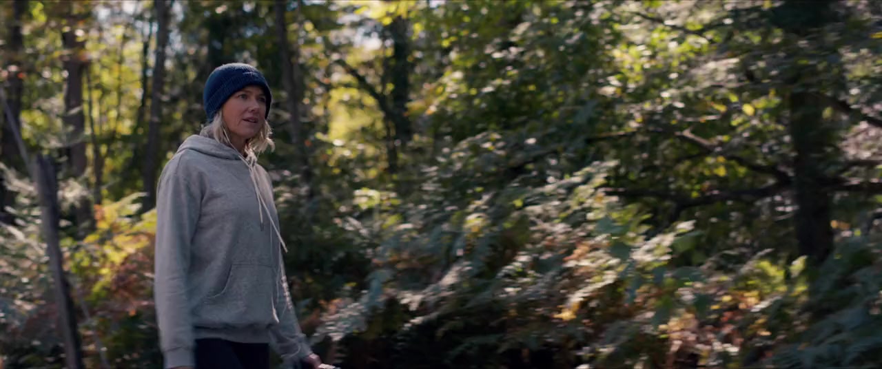 Lakewood screenshot 2