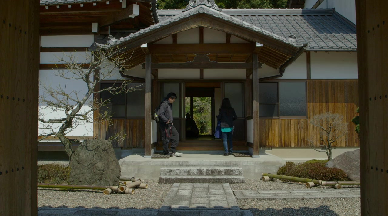 The Departure screenshot 2