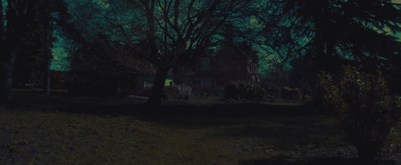 The Devil Came Home screenshot 1