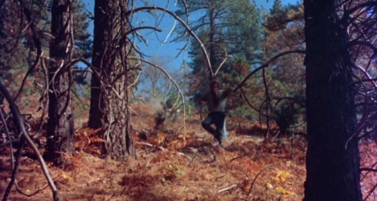 The Devil's 8 screenshot 1