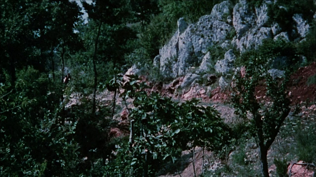 Il plenilunio delle vergini screenshot 1