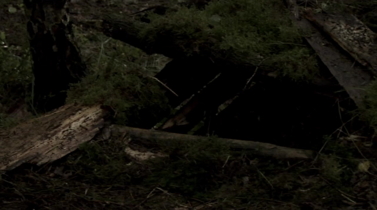The Cycle screenshot 3