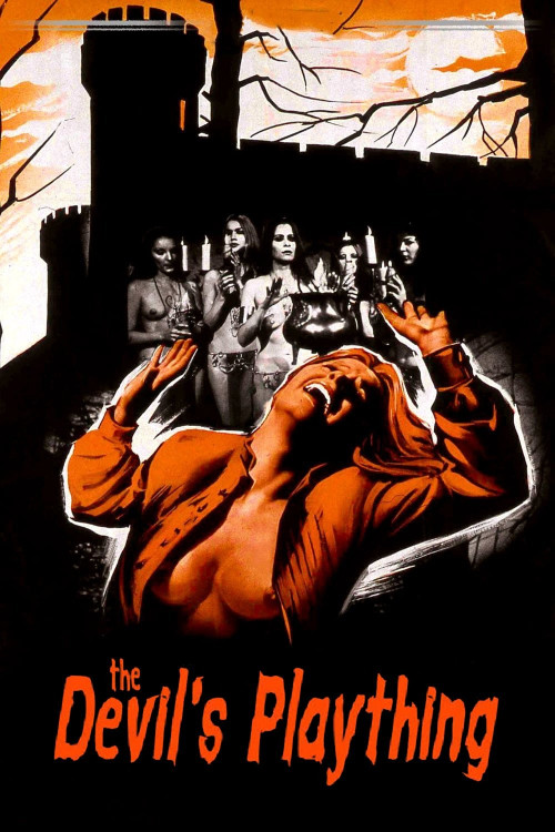 Der Fluch der schwarzen Schwestern (1973) poster