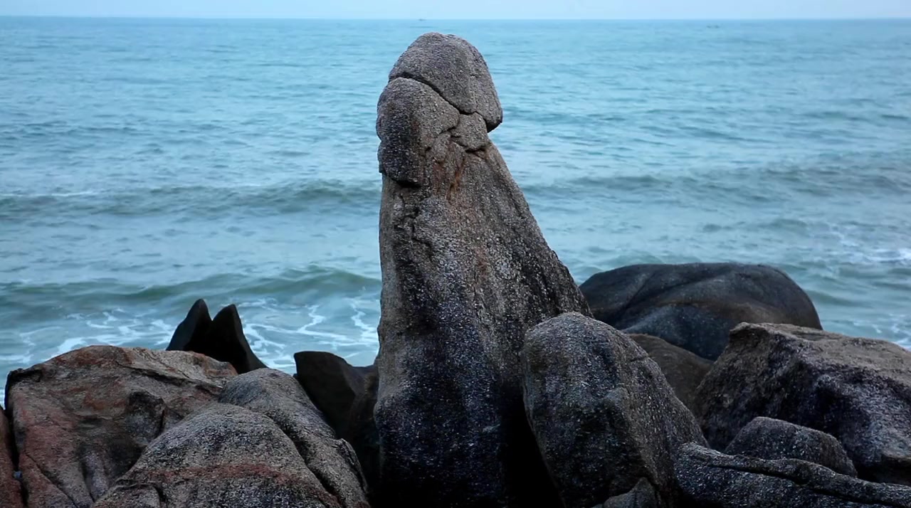 The Dickumentary screenshot 1