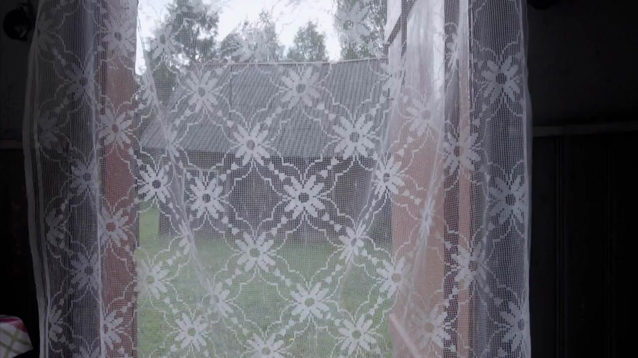 Vaino Vahingu päevaraamat screenshot 1