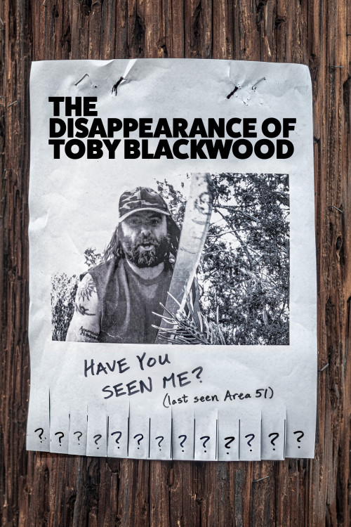 The Disappearance of Toby Blackwood (2022) poster