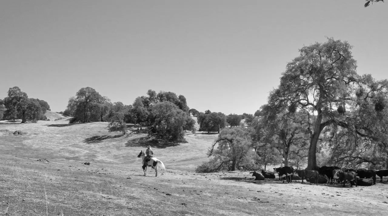 The Divide screenshot 3