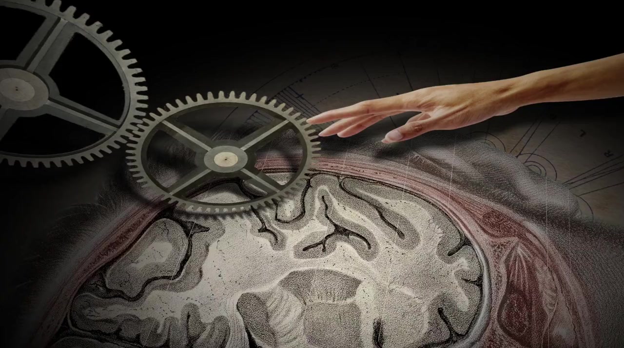 The Divided Brain screenshot 1