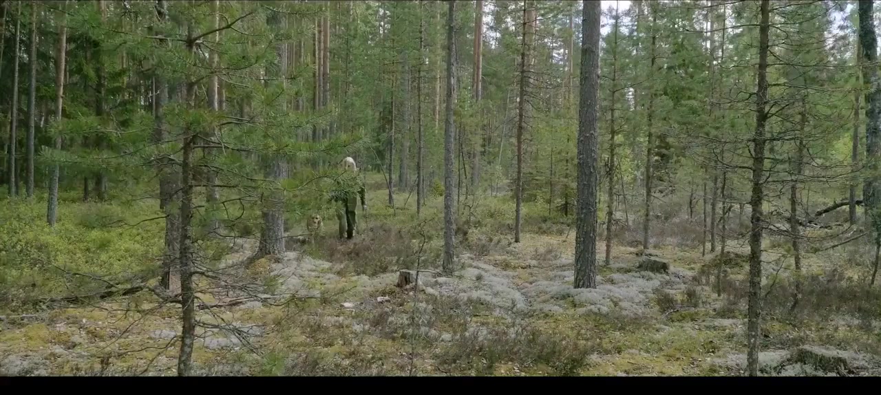 The Dmitriev Affair screenshot 1