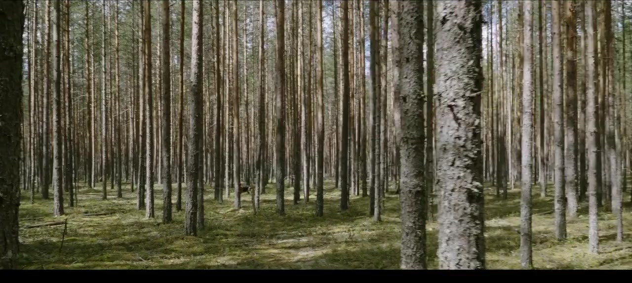 The Dmitriev Affair screenshot 2