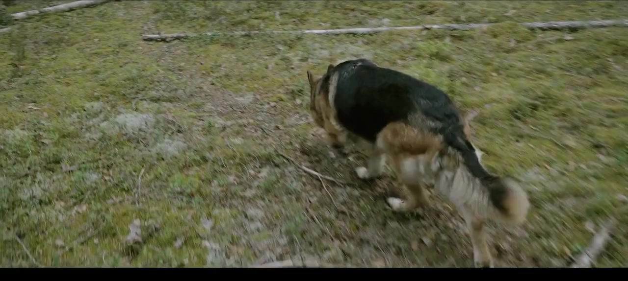 The Dmitriev Affair screenshot 3