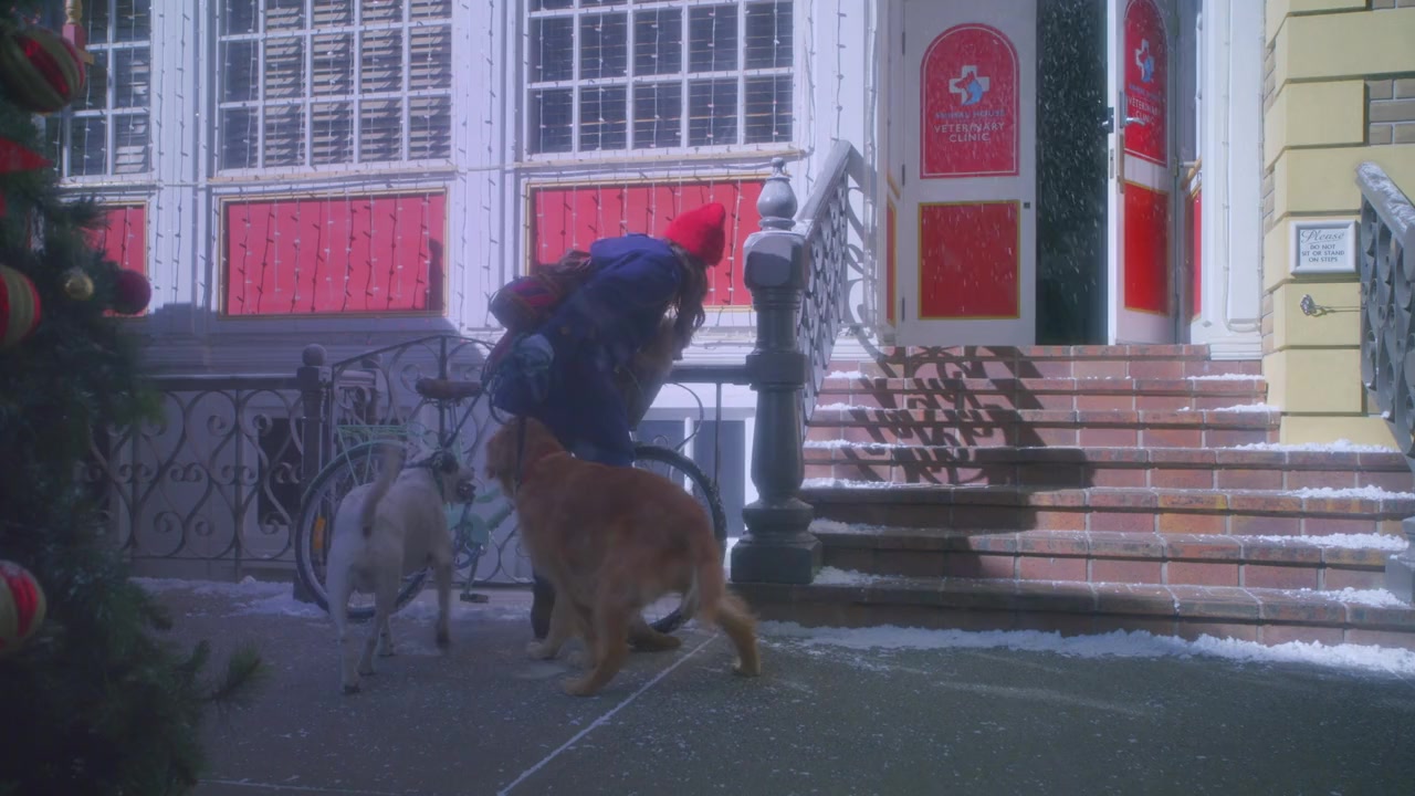 Sit. Stay. Love. screenshot 2