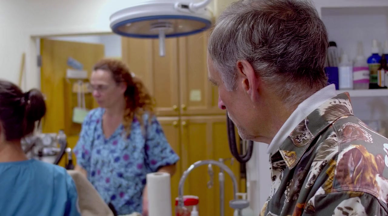 The Dog Doc screenshot 1