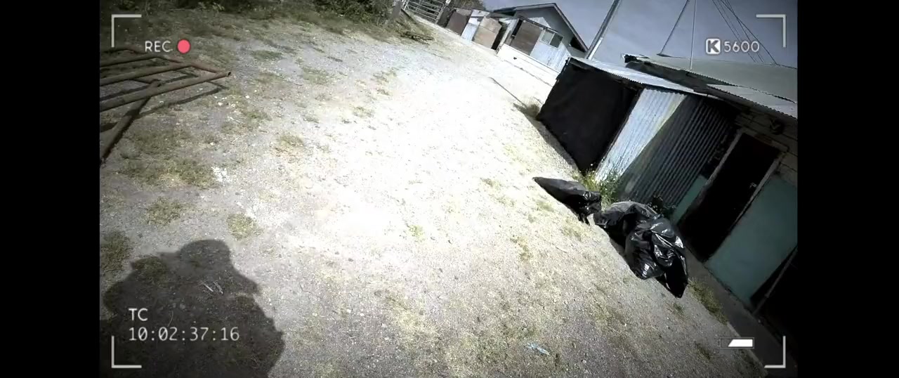 The Dog Lover screenshot 2