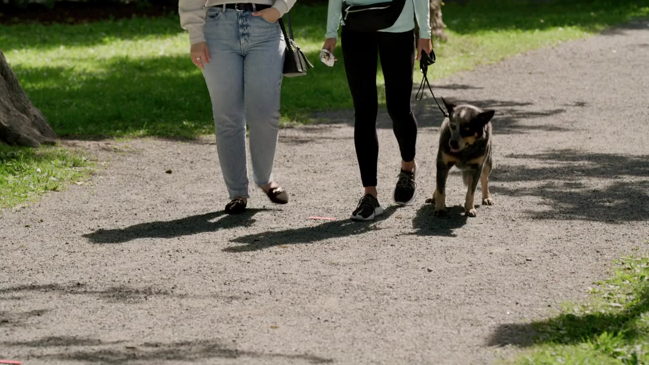 The Dog Lover's Guide to Dating screenshot 1