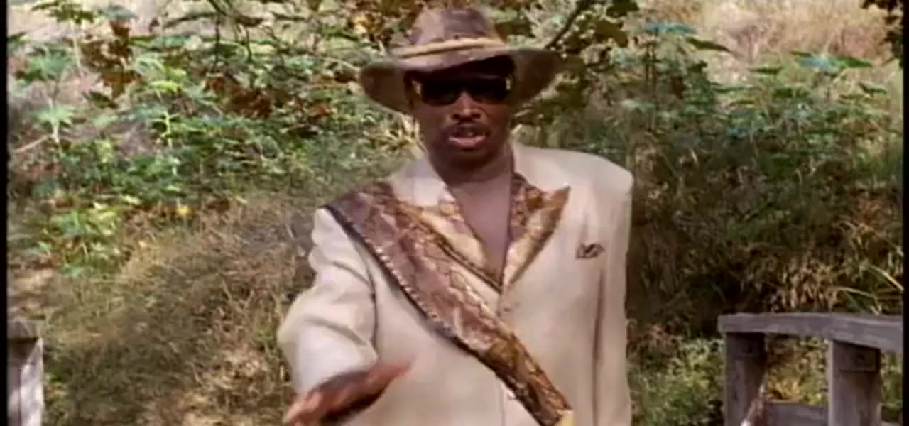 The Return of Dolemite screenshot 1