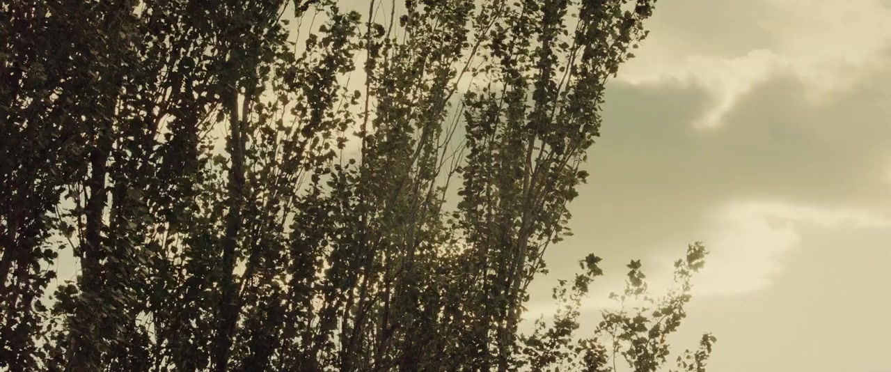 A Herdade screenshot 1