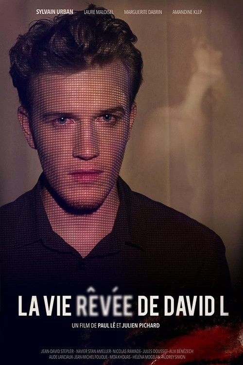 La vie rêvée de David L (2014) poster