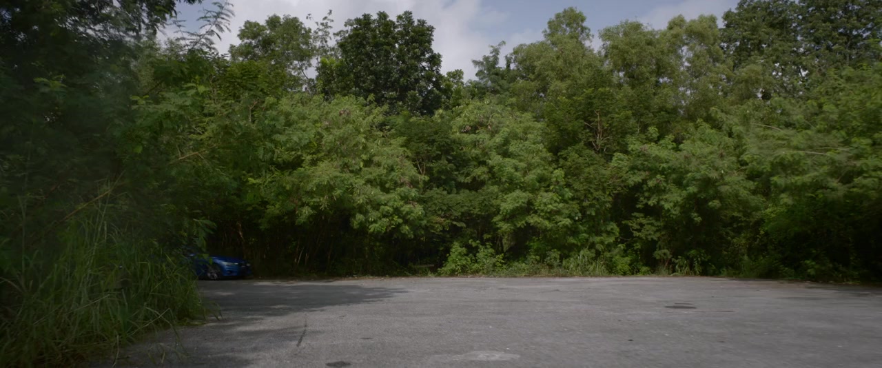 The Driver screenshot 3