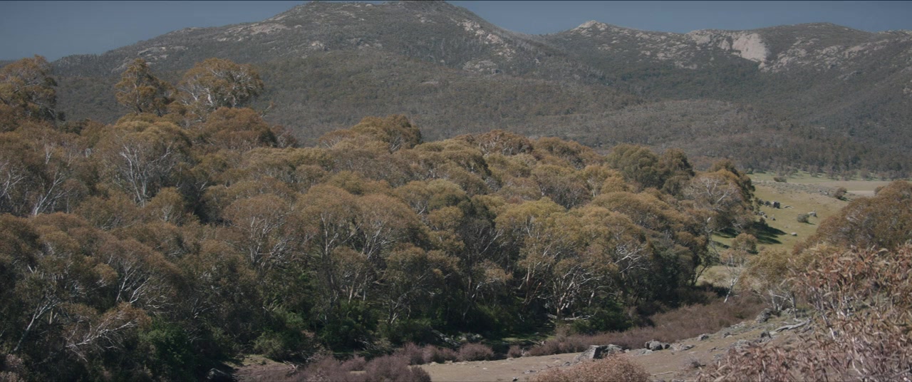 The Drover's Wife: The Legend of Molly Johnson screenshot 1