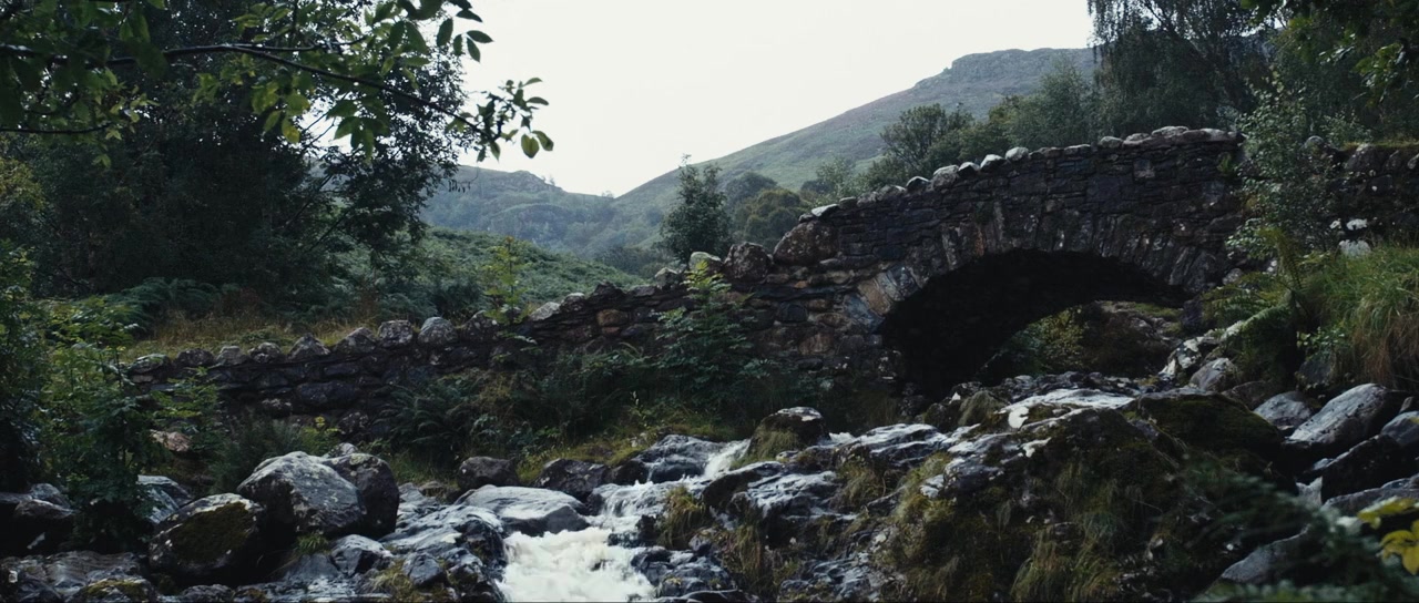 The Droving screenshot 2