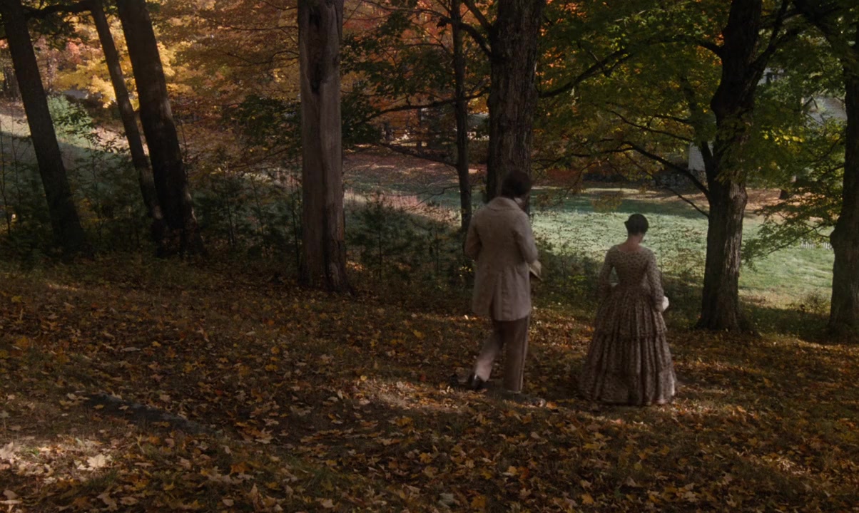 The Europeans screenshot 1