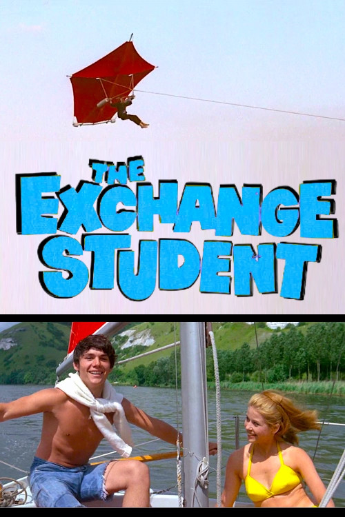 Les grandes vacances (1967) poster