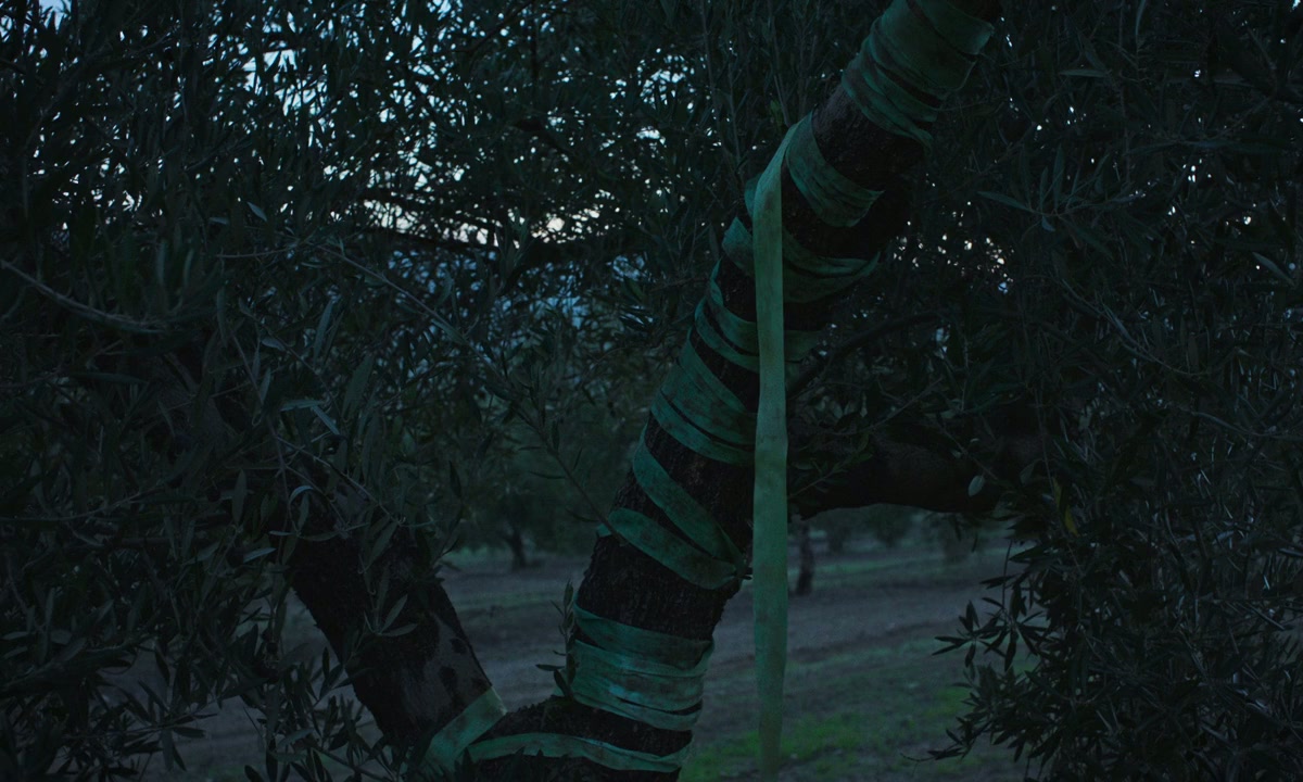 Los Tortuga screenshot 1