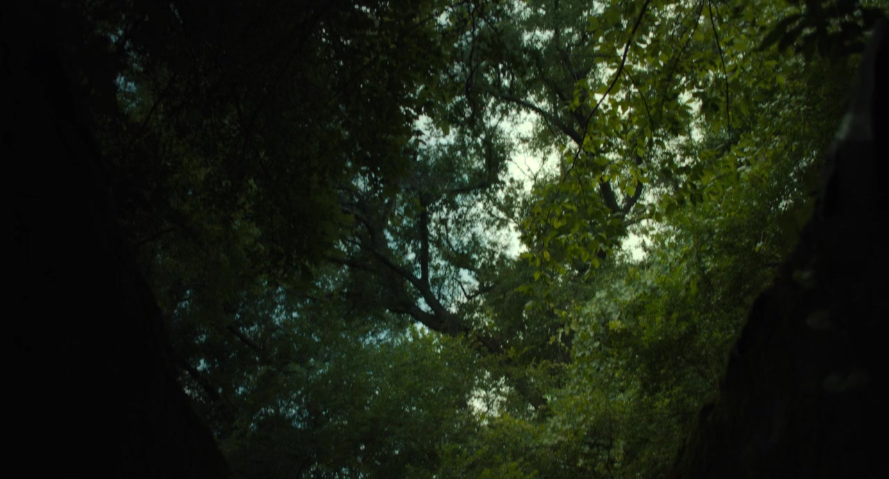 The Exorcist: Believer screenshot 2