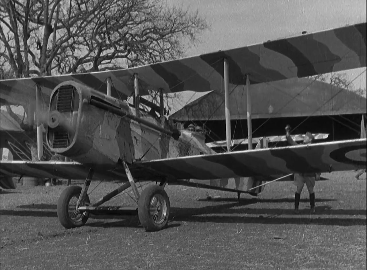 The Eagle and the Hawk screenshot 1