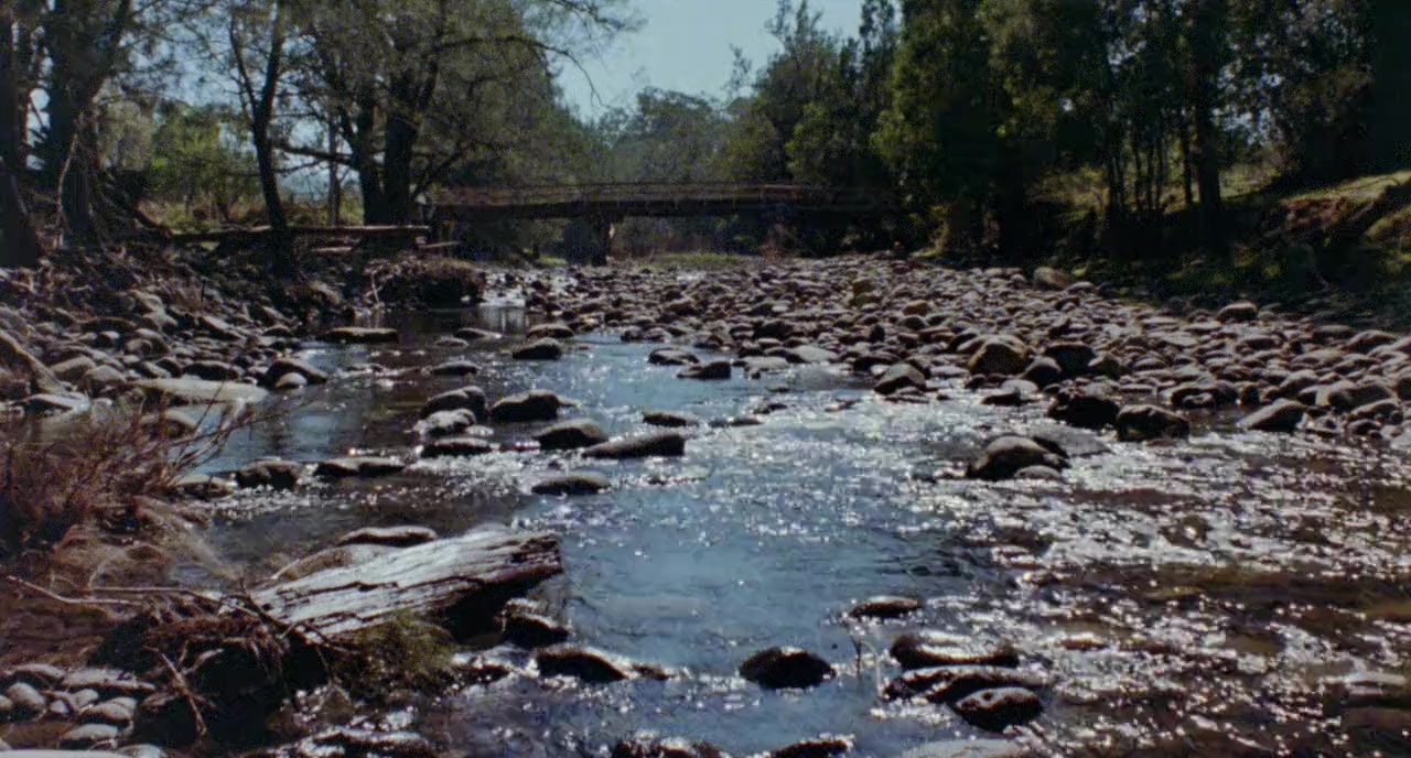 The Earthling screenshot 1