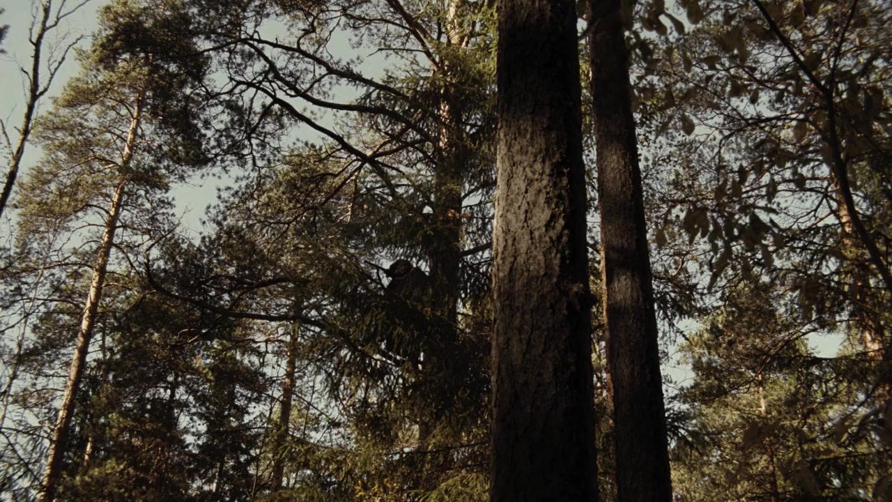 Kray screenshot 1